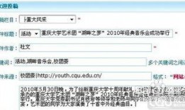 网易新闻爆料投稿流程,轻松参与，见证真相